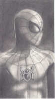 spider man, pajk, rysunek spider mana, praca jowity eliasz, rysunek szkicowany owkiem